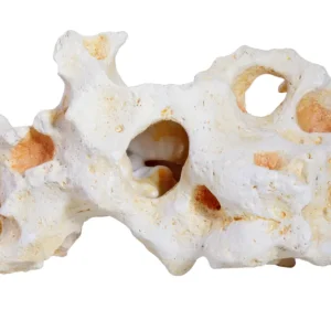 Jetzt Kaufen Hobby Cavity Rock 1 (22 × 11,5 × 12 cm)